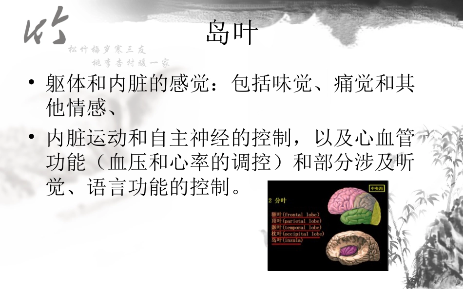 神经系统解剖结构与功能及常见辅助检查_第15页