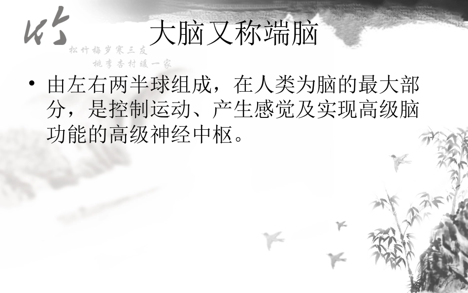 神经系统解剖结构与功能及常见辅助检查_第5页