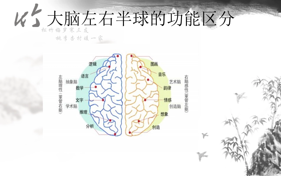 神经系统解剖结构与功能及常见辅助检查_第6页