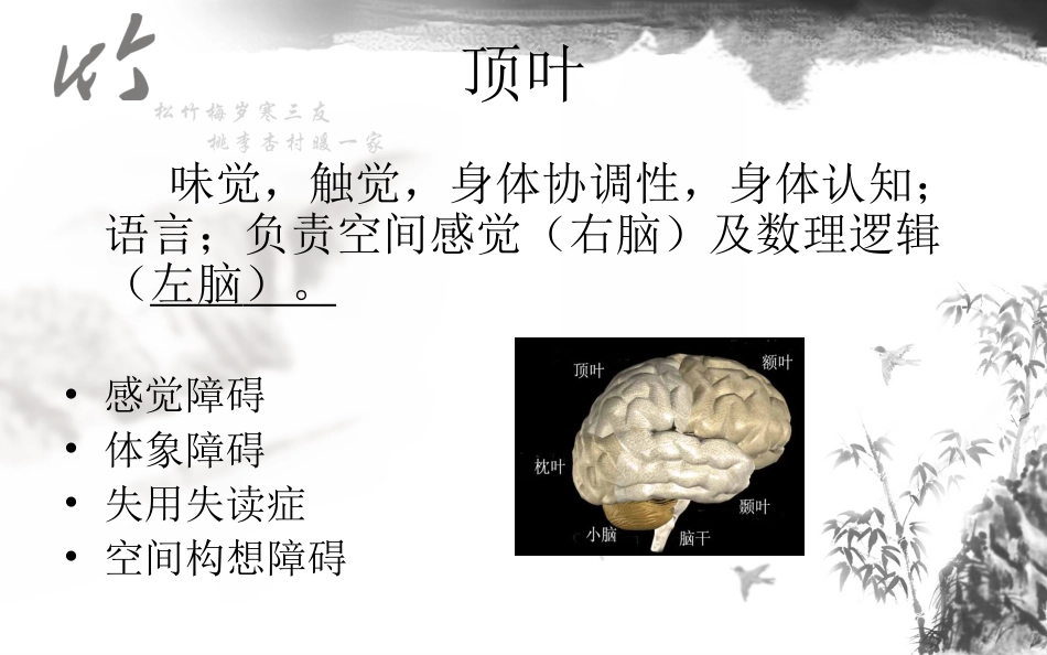 神经系统解剖结构与功能及常见辅助检查_第9页