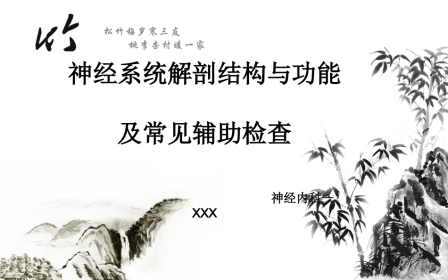 神经系统解剖结构与功能及常见辅助检查