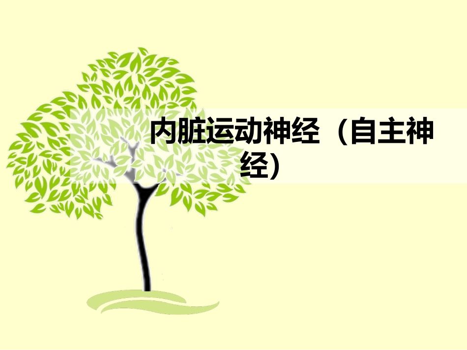 内脏运动神经（自主神经）_第1页