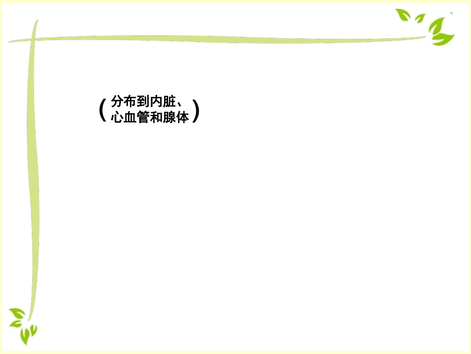内脏运动神经（自主神经）_第2页