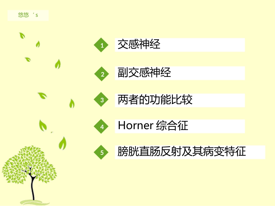 内脏运动神经（自主神经）_第3页
