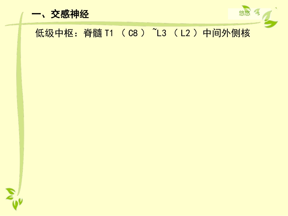 内脏运动神经（自主神经）_第4页