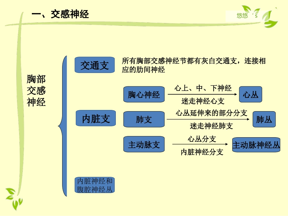 内脏运动神经（自主神经）_第8页