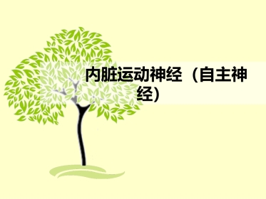 内脏运动神经（自主神经）