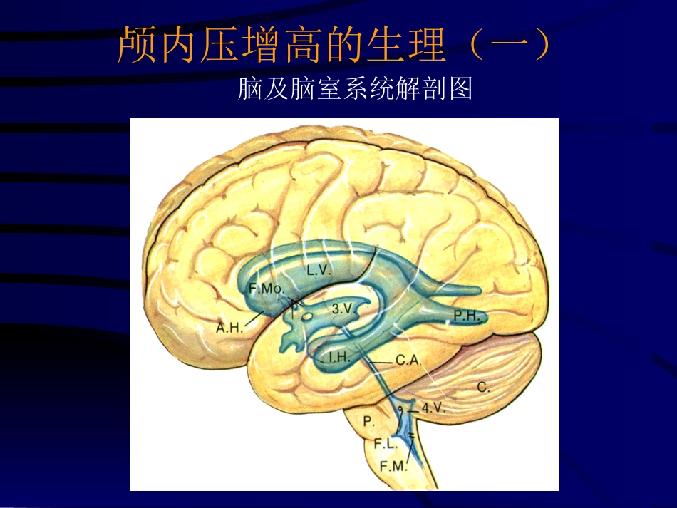 神经科-颅高压_第4页