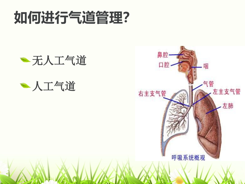 危重患者的气道管_第5页