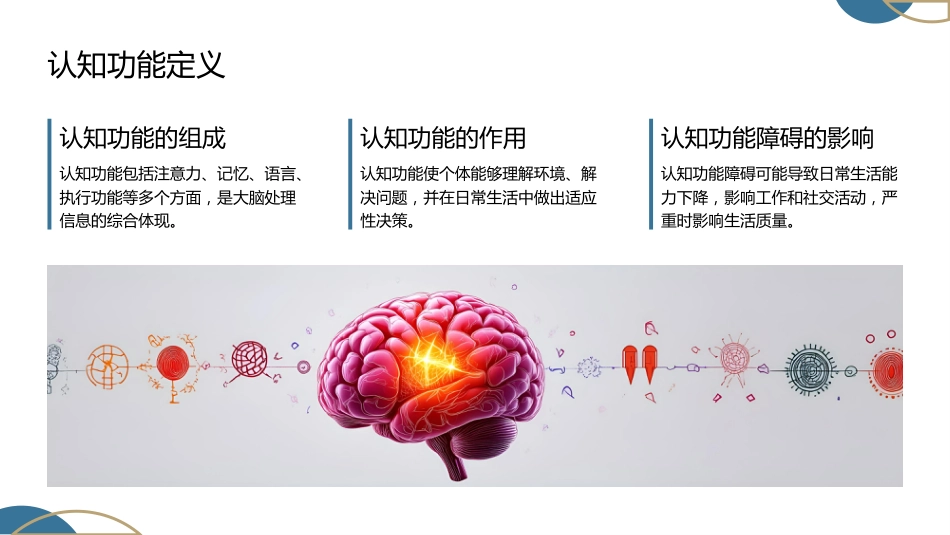 认知功能和认知功能障碍专题培训课件_第5页