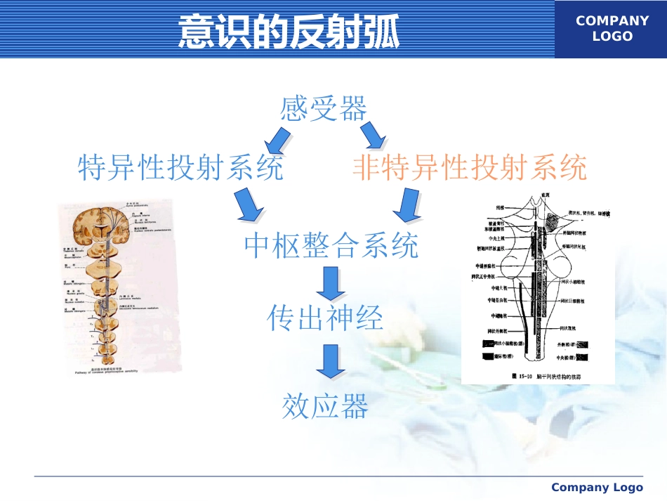 意识障碍讲课_第4页