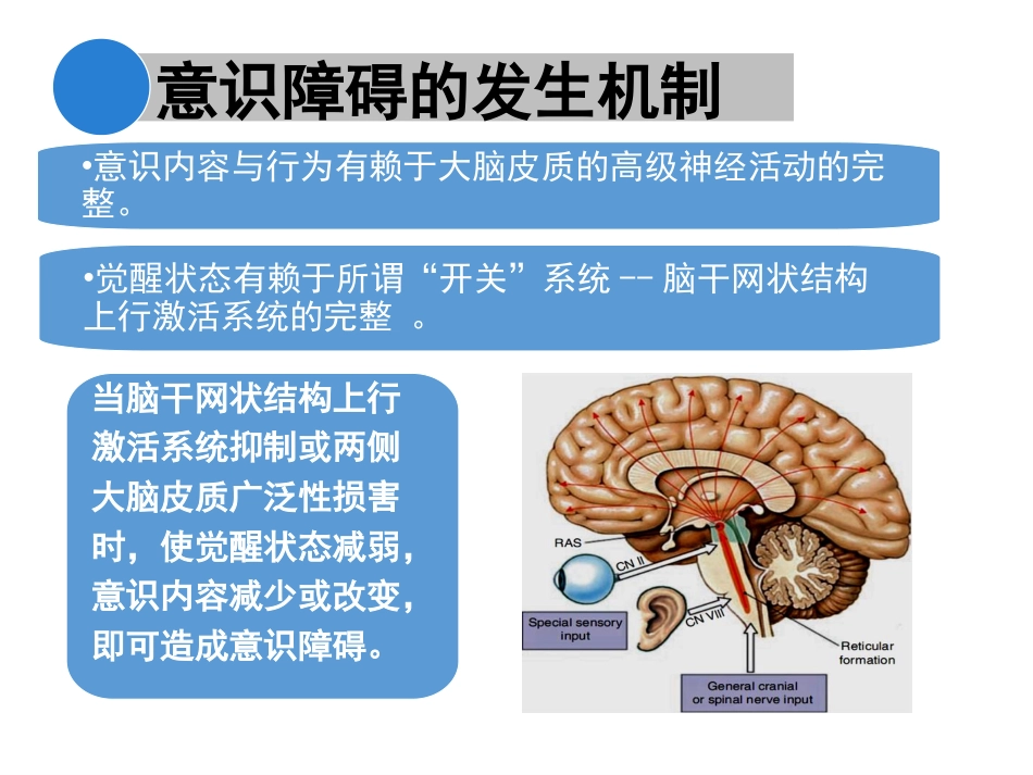 意识障碍课件_第5页