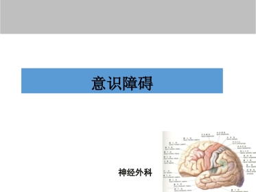 意识障碍课件