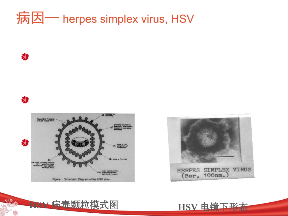 中枢神经系统感染_第6页