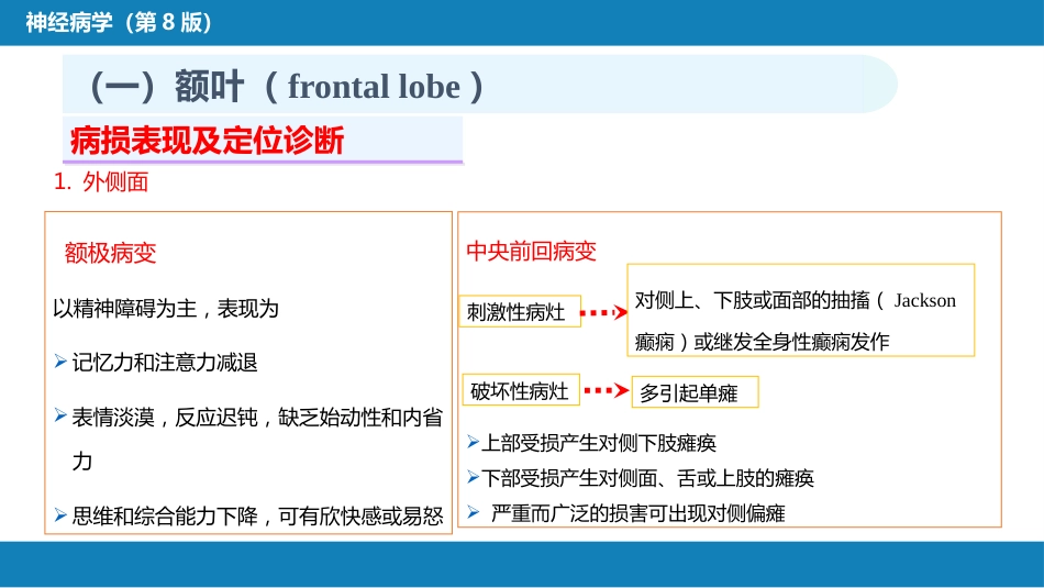 第二章 神经系统的解剖、生理及病损的定位诊断（1）_第11页