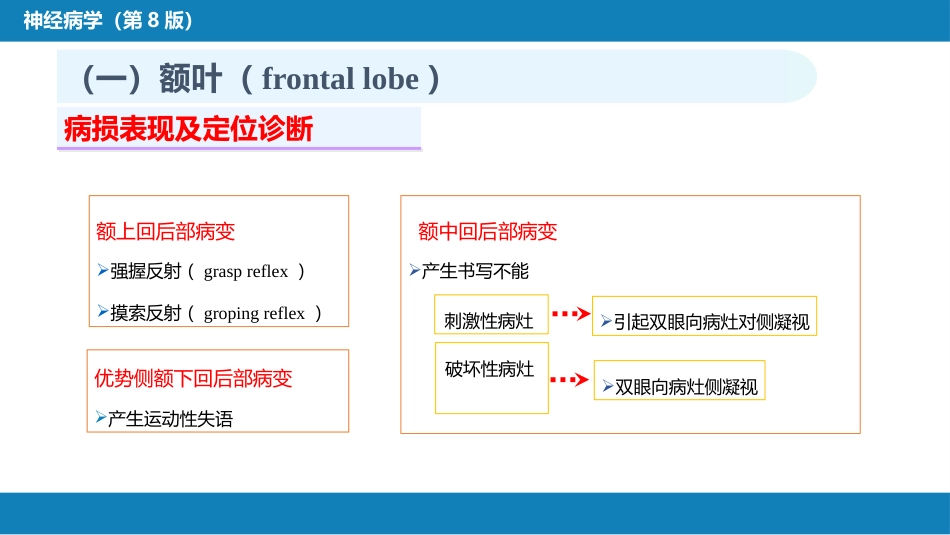 第二章 神经系统的解剖、生理及病损的定位诊断（1）_第12页