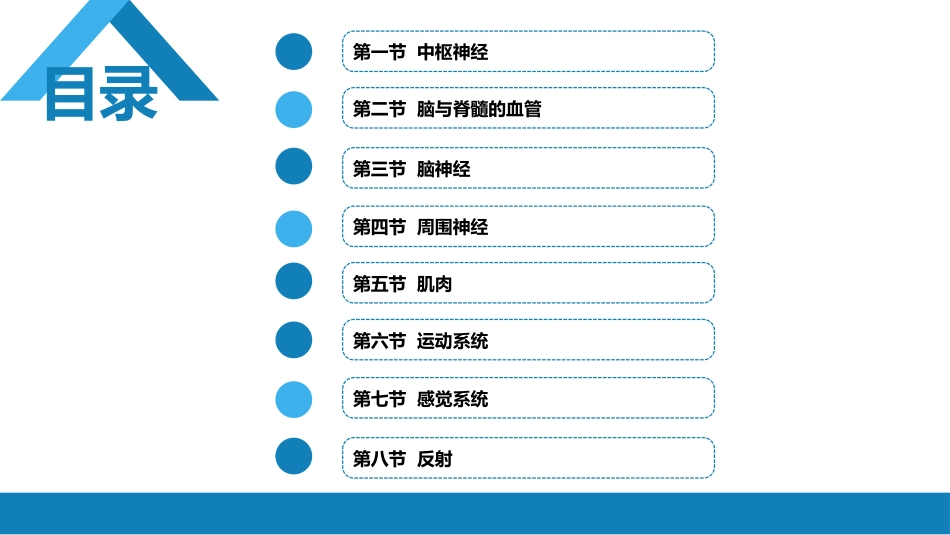 第二章 神经系统的解剖、生理及病损的定位诊断（1）_第2页