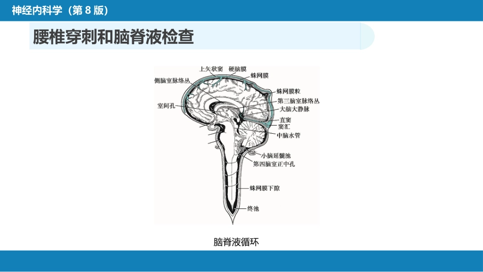 第五章 神经系统疾病的辅助检查（1）_第4页