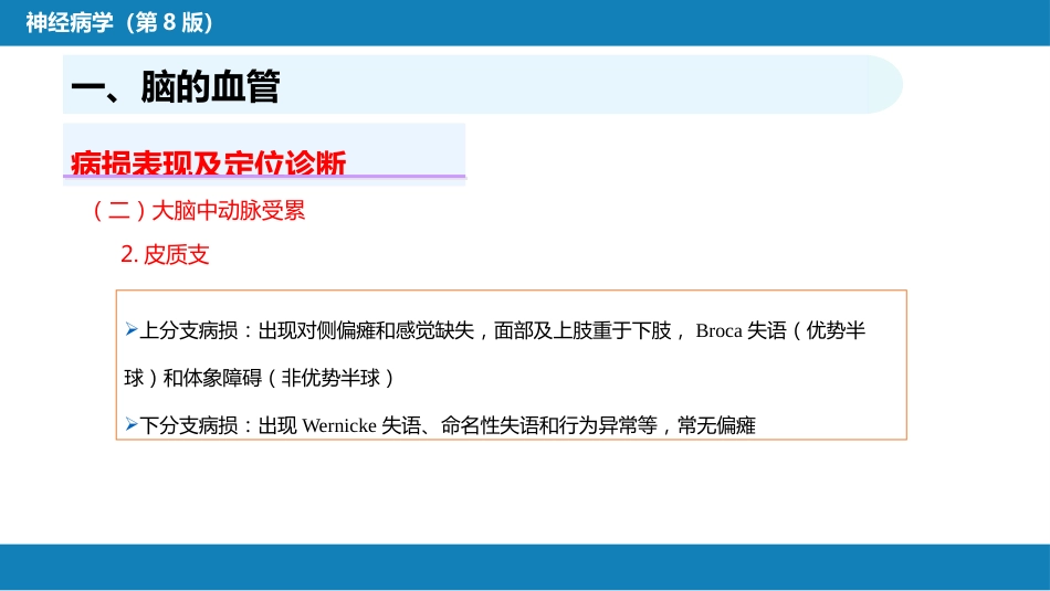 第二章 神经系统的解剖、生理及病损的定位诊断（2）_第11页