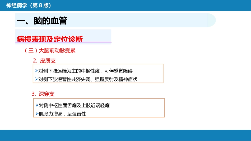 第二章 神经系统的解剖、生理及病损的定位诊断（2）_第14页