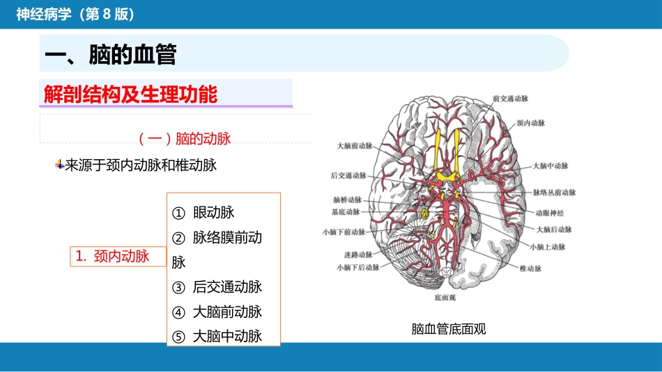 第二章 神经系统的解剖、生理及病损的定位诊断（2）_第3页