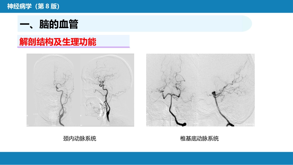第二章 神经系统的解剖、生理及病损的定位诊断（2）_第5页