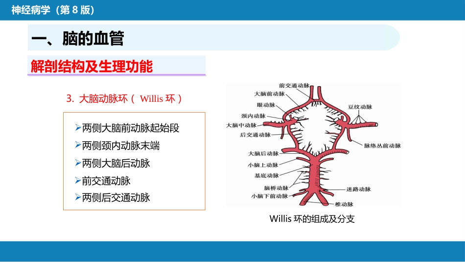 第二章 神经系统的解剖、生理及病损的定位诊断（2）_第6页