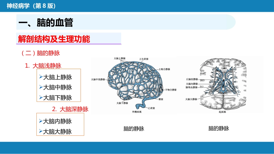 第二章 神经系统的解剖、生理及病损的定位诊断（2）_第7页
