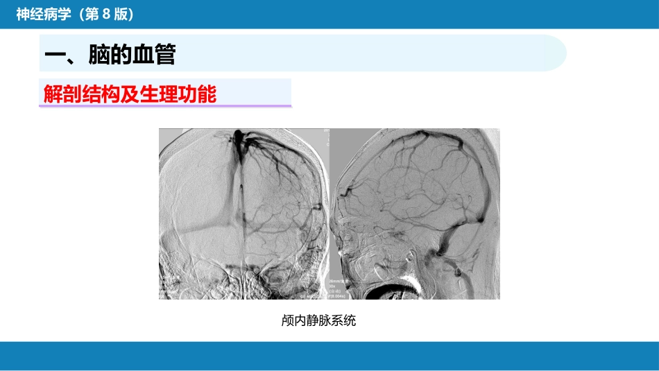 第二章 神经系统的解剖、生理及病损的定位诊断（2）_第8页