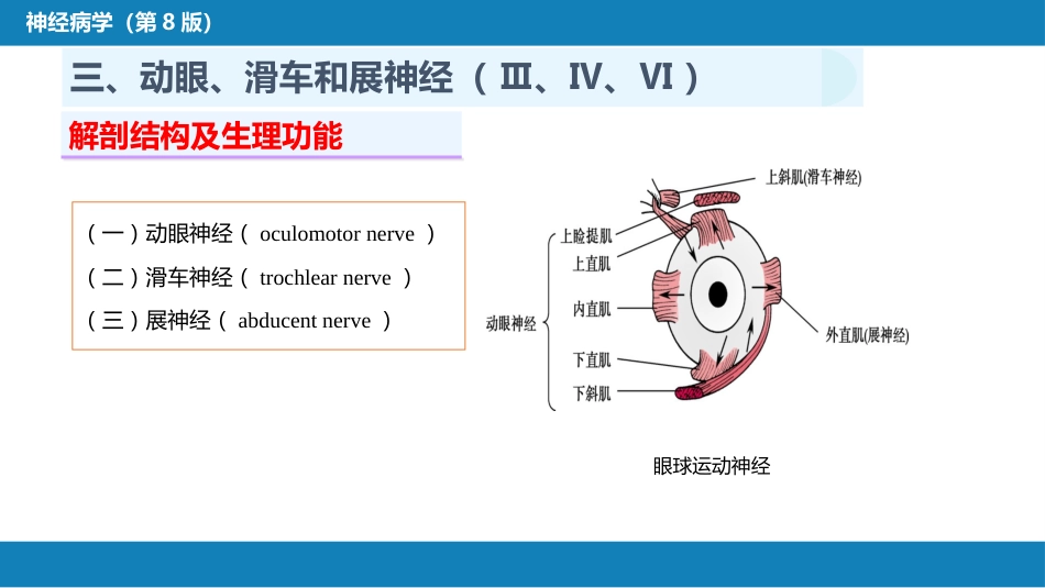 第二章 神经系统的解剖、生理及病损的定位诊断（3）_第10页