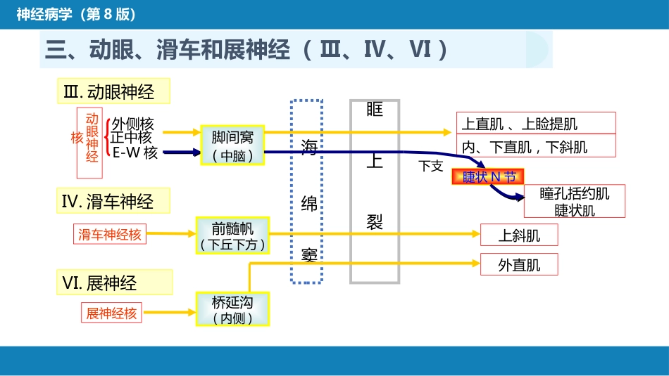第二章 神经系统的解剖、生理及病损的定位诊断（3）_第11页