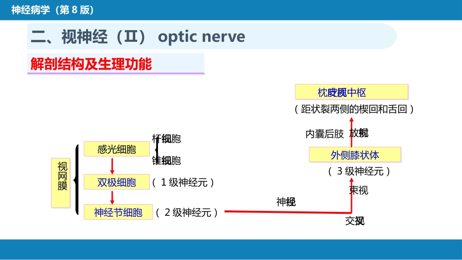 第二章 神经系统的解剖、生理及病损的定位诊断（3）_第7页