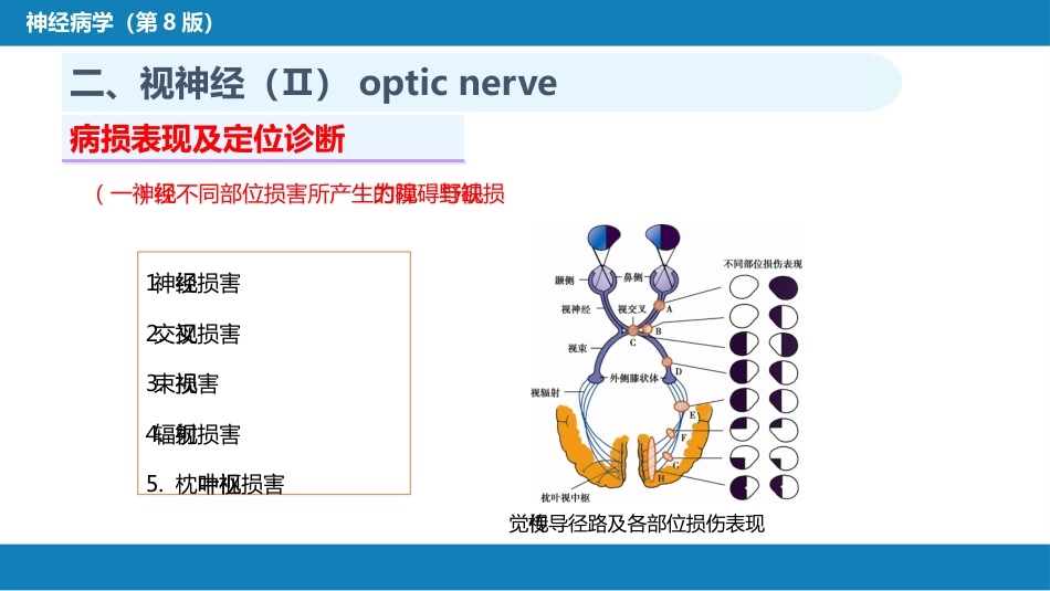 第二章 神经系统的解剖、生理及病损的定位诊断（3）_第8页