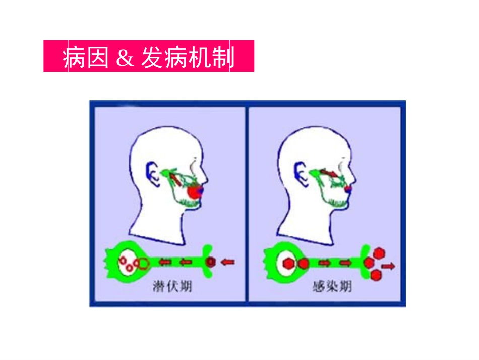 中枢神经系统感染 (3)_第12页