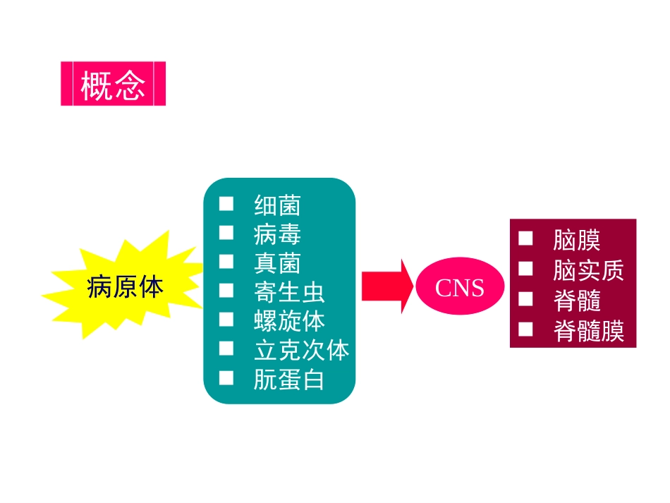 中枢神经系统感染 (3)_第5页