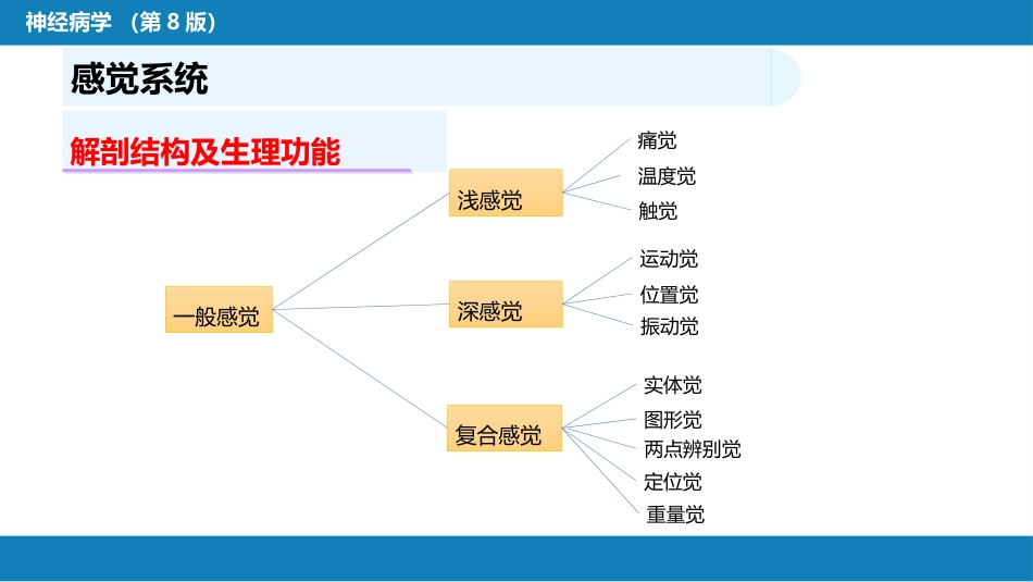 第二章 神经系统的解剖、生理及病损的定位诊断（4）_第12页