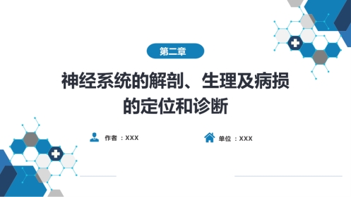 第二章 神经系统的解剖、生理及病损的定位诊断（4）