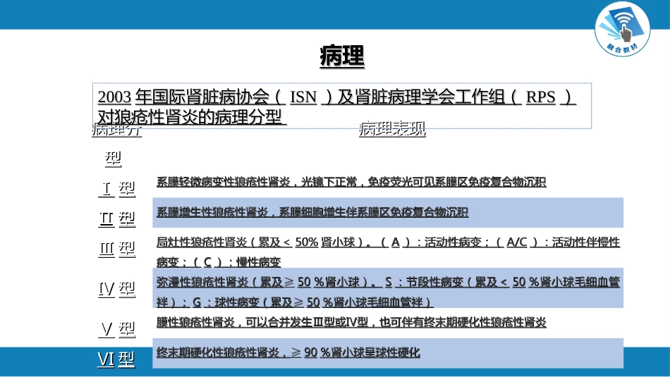 肾内科：继发性肾病_第7页