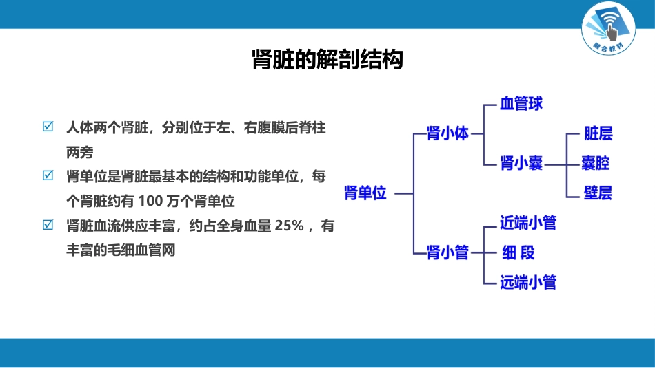 肾内科：泌尿系统疾病总论_第3页