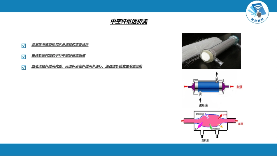 肾内科：肾脏替代治疗_第7页