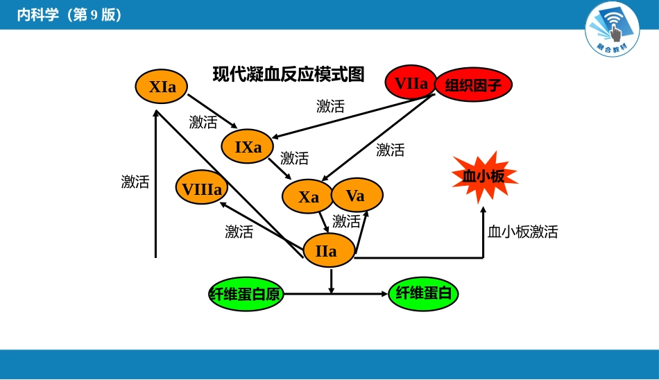 血液科：出血性疾病概述_第11页
