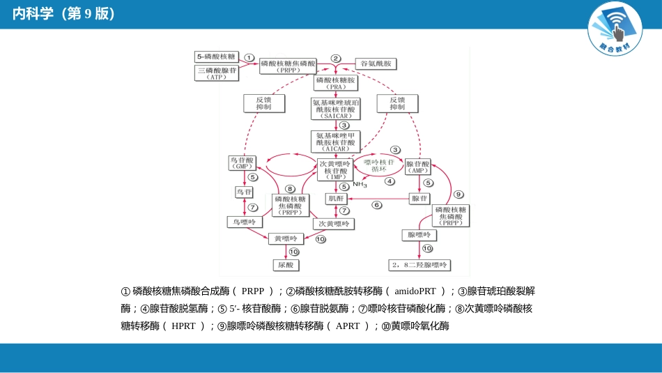 内分泌科：高尿酸血症_第6页