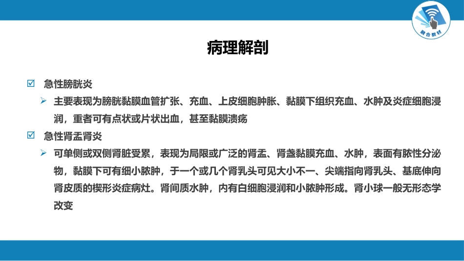 肾内科：尿路感染_第9页