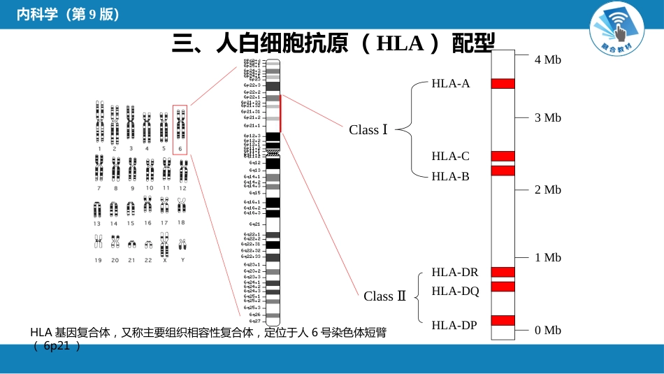 血液科：造血干细胞移植_第9页