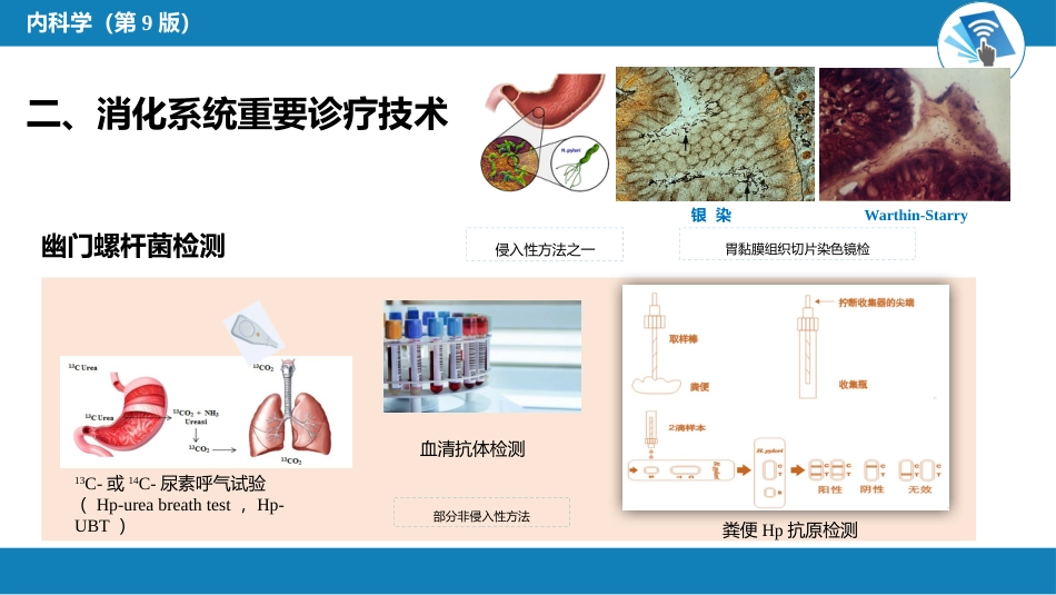 消化内科：消化系统疾病总论_第11页