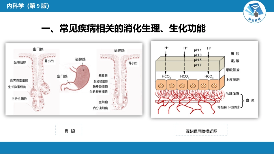 消化内科：消化系统疾病总论_第4页