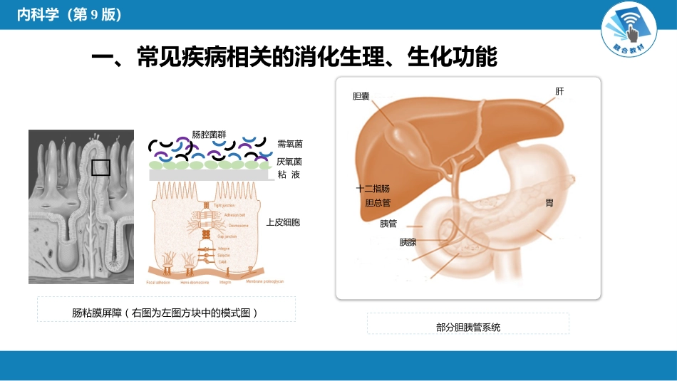 消化内科：消化系统疾病总论_第6页