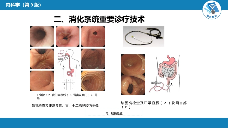 消化内科：消化系统疾病总论_第7页
