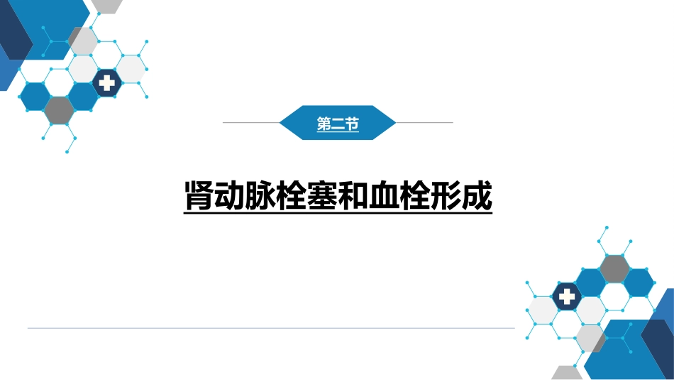 肾内科：肾血管疾病_第12页