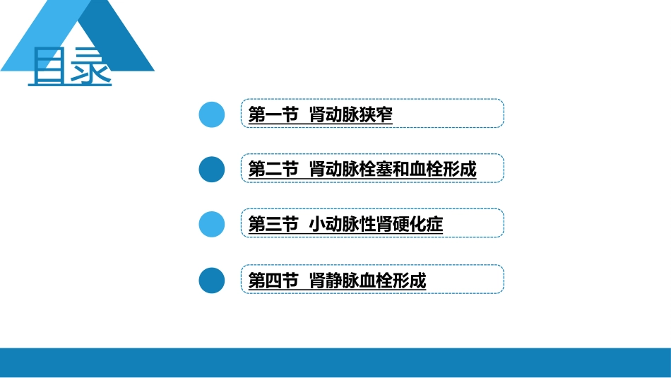 肾内科：肾血管疾病_第2页